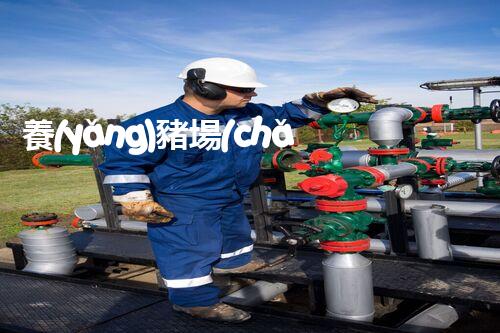 養(yǎng)豬場(chǎng)廢水處理設(shè)備價(jià)格大揭秘！你想知道的都在這兒！